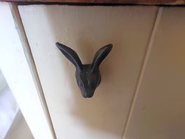 Cute door knobs
