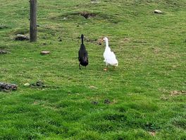 What a funny pair these two are!!!