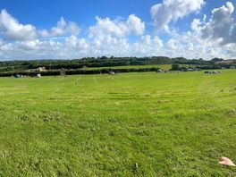 Campsite view from swing
