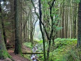 Nearby walk