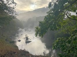 Morning views of the stream