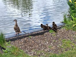 Mum and her children