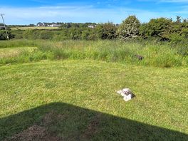 Our little shih tzu, chief brody, enjoying the morning sun at parke farm camping.