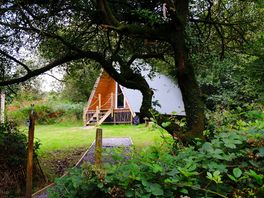 Cabin.