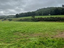 View of camping field