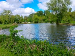 Mixed fisheries best with large bream, tench and carp to 15lb.