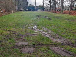 The camping field