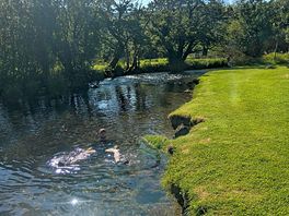 The stream again because it's so beautiful.