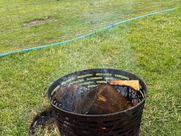 Fire pit