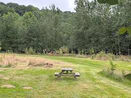 Benches