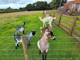 And a few more friends