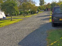 View from the top of the site