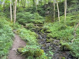Wolfsschlucht. sprookjesachtige omgeving op enkele kilometers van de camping.