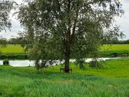 The view from my chair towards the river