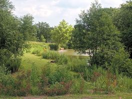 Beautiful surroundings