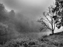 River view