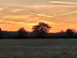 Sunset short walk away