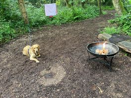Lovely clear space by cabin for dog playing and cooking