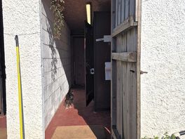 Chicken checking out the toilet block :)