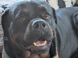 My boy tyson