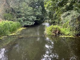 View from the river
