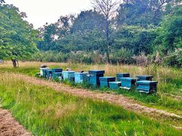 Beehives
