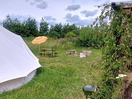 Camp