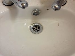 Needs cleaning lessons!