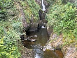 Local walking treat