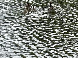 Fishing lake