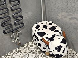 Funky animal stools!