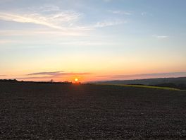 Sunset over the field from the pod