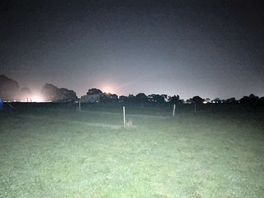 Good size pitches