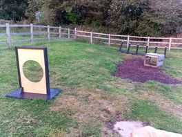 Dog agility