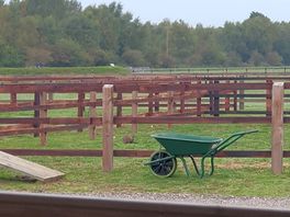 Watching a busy little rabbit from our veranda.
