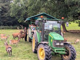 Included in the price was a tractor ride, deer safari.