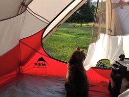 Pitch comes with a free cat.