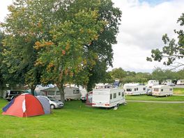 Grass pitches