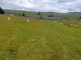Lovely walks on the doorstep