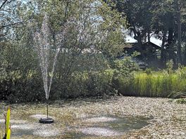 Small part of the lake