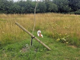 Little meadow walk