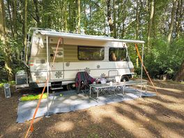 Woodland camper pitch
