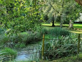 View of duck pond in grounds