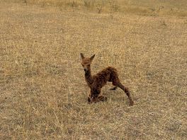 A baby was born during my stay