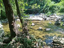 Stream