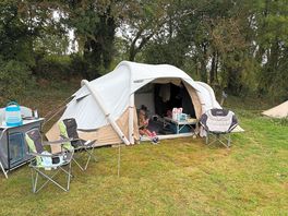 Our pitch