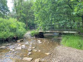 Down by the river