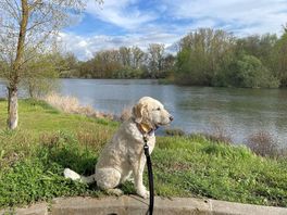 River walks