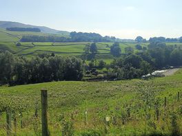 View to the river