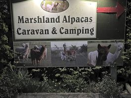Night time sign